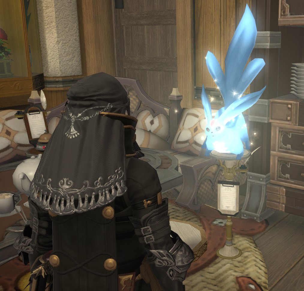 ベルの前でカーくん呼ぶと毎回ベルの上に陣取るのマジで可愛いんですけど　じゃま　かわいい　猫みがある