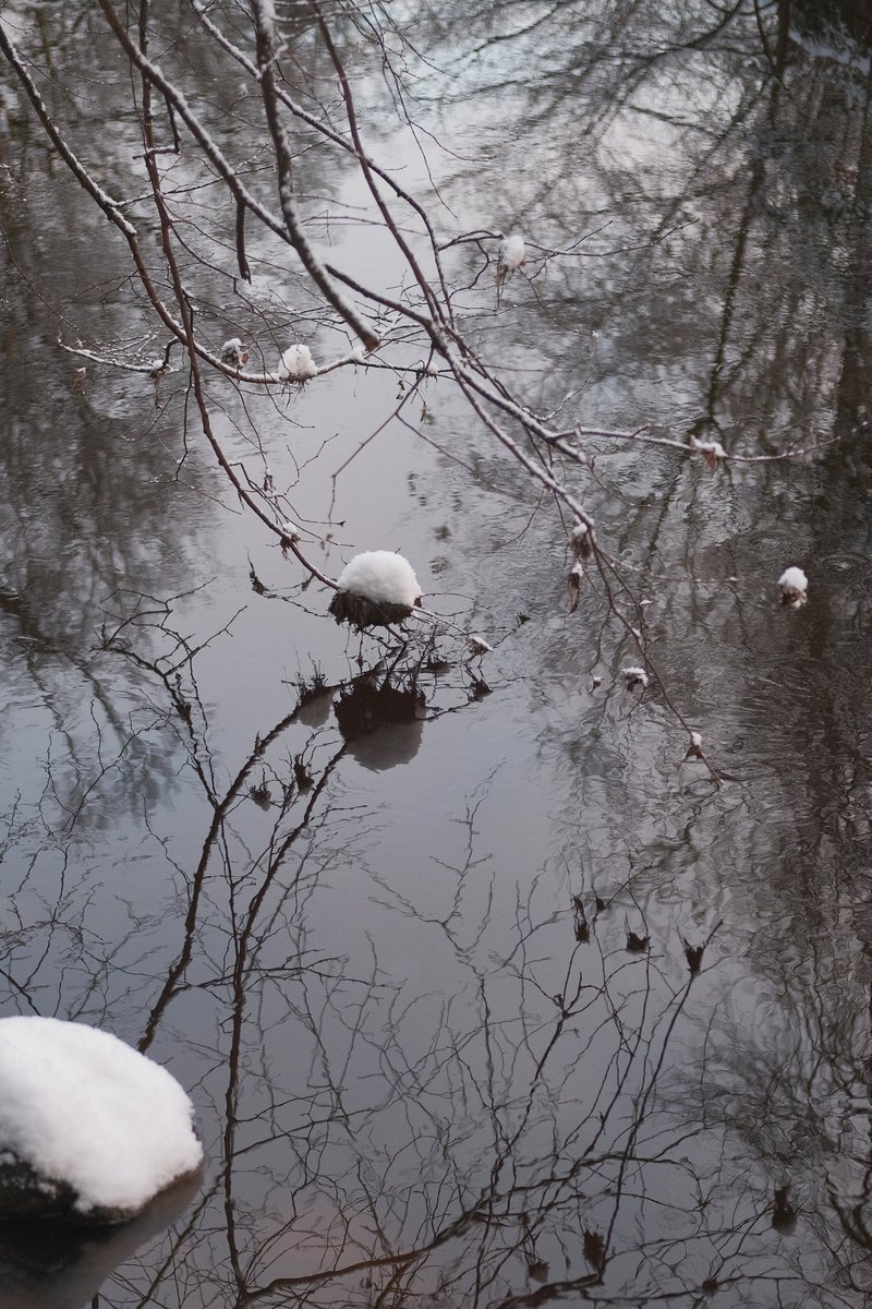 CollectiveFiltr's tweet image. Introducing our new exhibitor Dave Ferrie 🎉 We're super excited to share that Dave is showing a selection of images from his new body of work 'I miss ya too pal pal' across 5 #Edinburgh cafes, available to purchase for the BARGAIN price of £20. More info: filtrcollective.com/getting-around