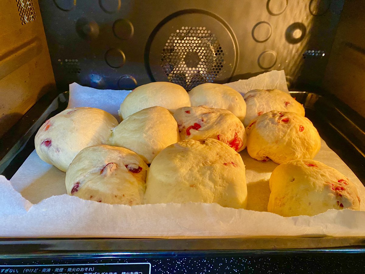 クランベリーとクリームチーズのパン錬成した