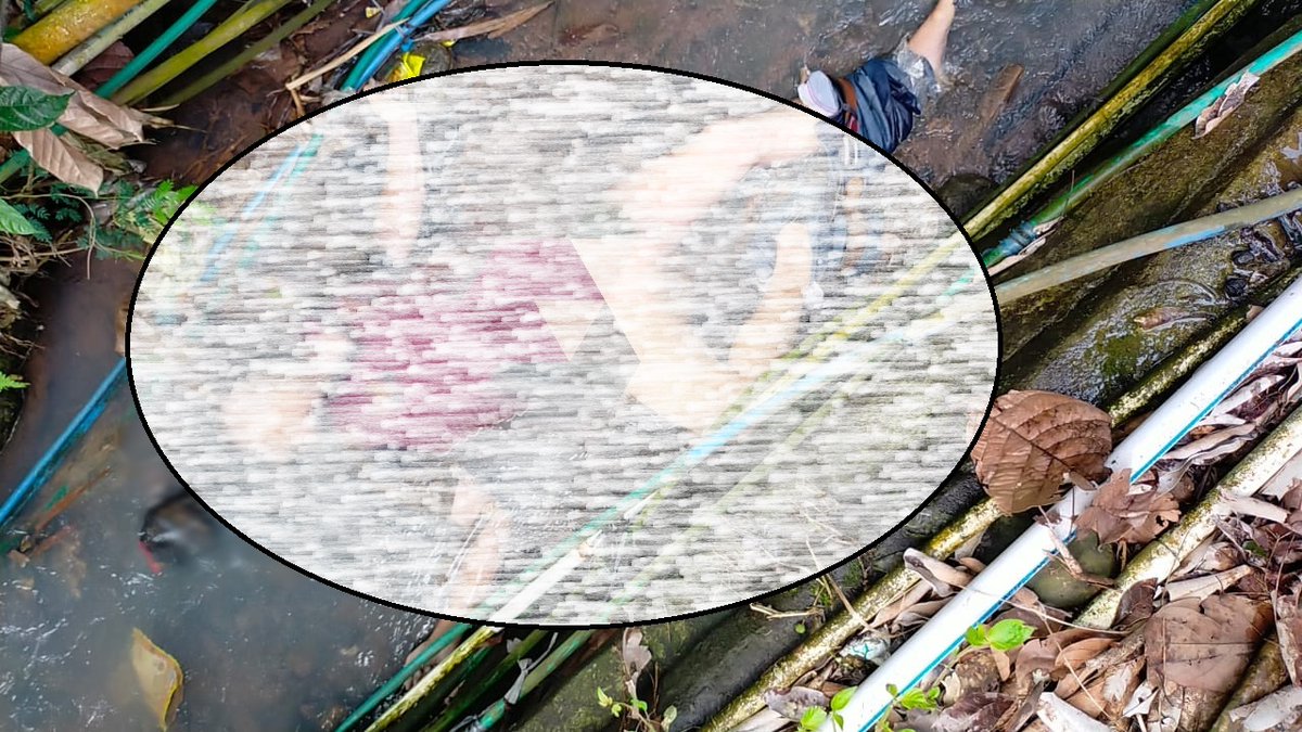 Warga Pasuruan Geger Mayat Mengambang dlvr.it/SFcWQm