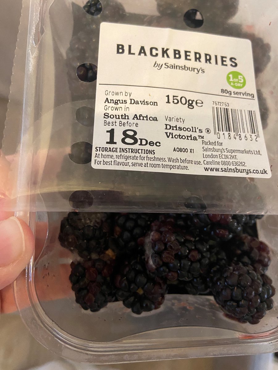 KellyLangiano's tweet photo. @sainsburys hello! I have some mouldy blackberries that has been moudly before they are out of date yuckkkk! :( https://t.co/7lRNeuA4sj
