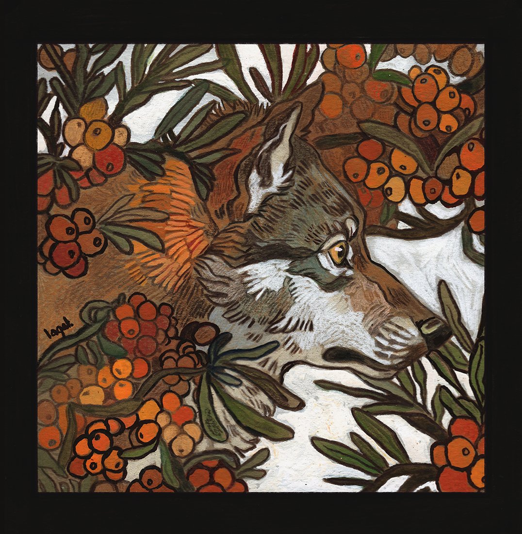 _jagal_'s tweet photo. Sea Buckthorn https://t.co/J2dcaW5qfj
