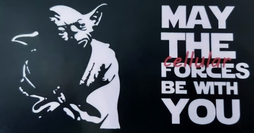 Just found this gold from 4 years ago.
Ad for PhD and post doc students to join our mechanosensing lab.
May the cellular forces be with you. 
Lol. Brilliant. @Haguy_Wolfenson
<a href="/PhDVoice/">PhD Voice - Independently Run</a> <a href="/PostdocVoice/">PostdocVoice</a> <a href="/OpenAcademics/">OpenAcademics</a> #AcademicTwitter #mechanobiology