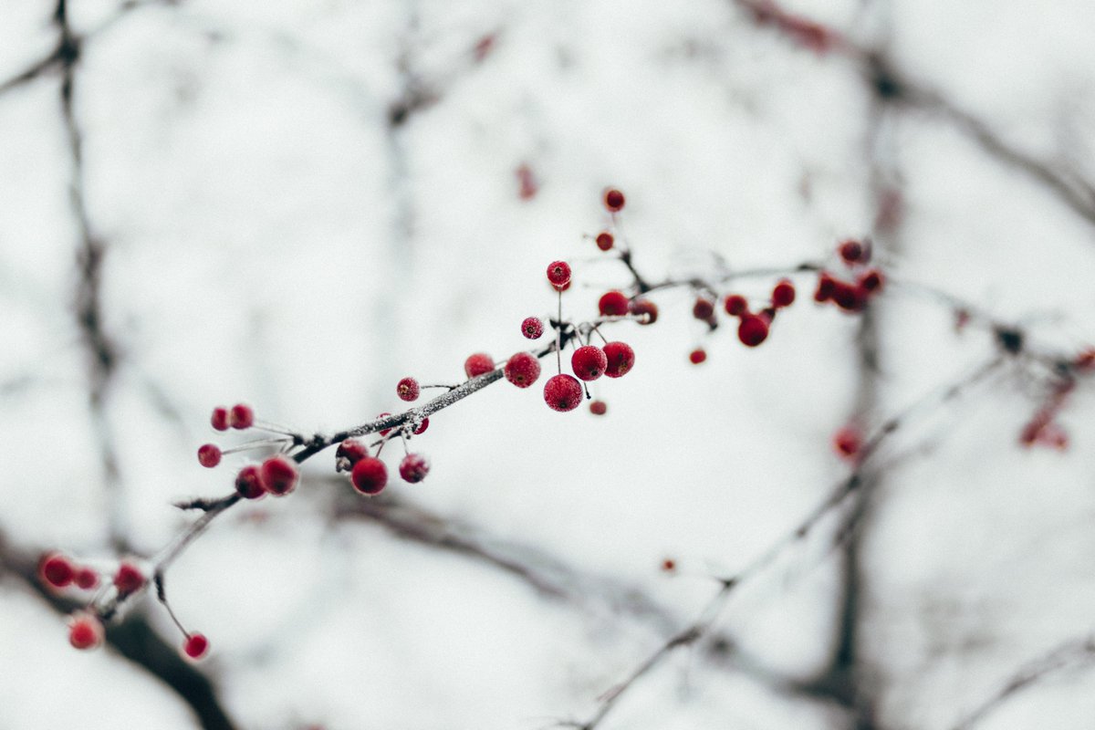 PictouCare's tweet photo. Everyone has a favorite holiday tradition.  What is yours?  #ThisLittleThingsMatter #wintersolstice #magic #pcpcares https://t.co/CuIQNgfPnb