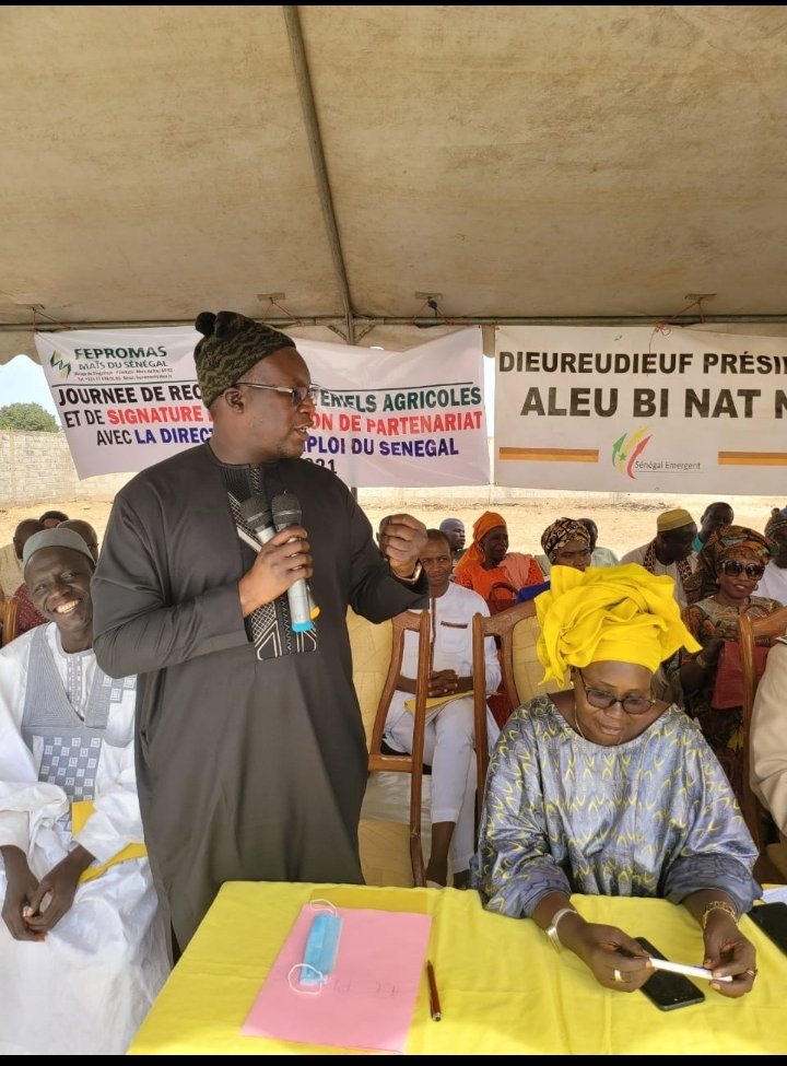 piscoble's tweet photo. Le Directeur de l'emploi Pape Modou Fall a procédé ce samedi 18 décembre 2021 à la signature de convention de partenariat entre la direction de l'emploi et la fédération des producteurs de Mais du Saloum dans le cadre du programme "Xëyu ndaw yi". https://t.co/5gPWNRa9Zz