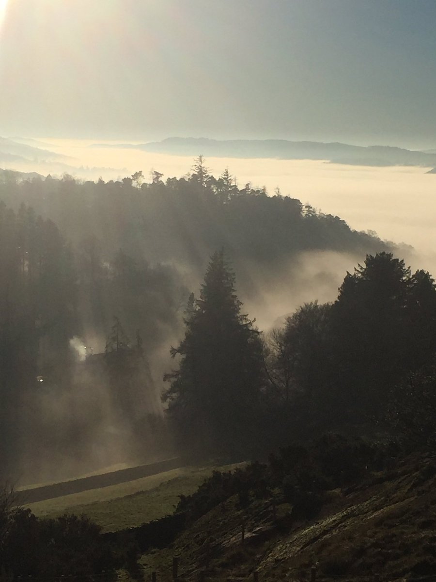 DannyRurlander's tweet photo. It might be foggy where you are but it's a beautiful day in #spylarkcountry https://t.co/FMwkniovwf
