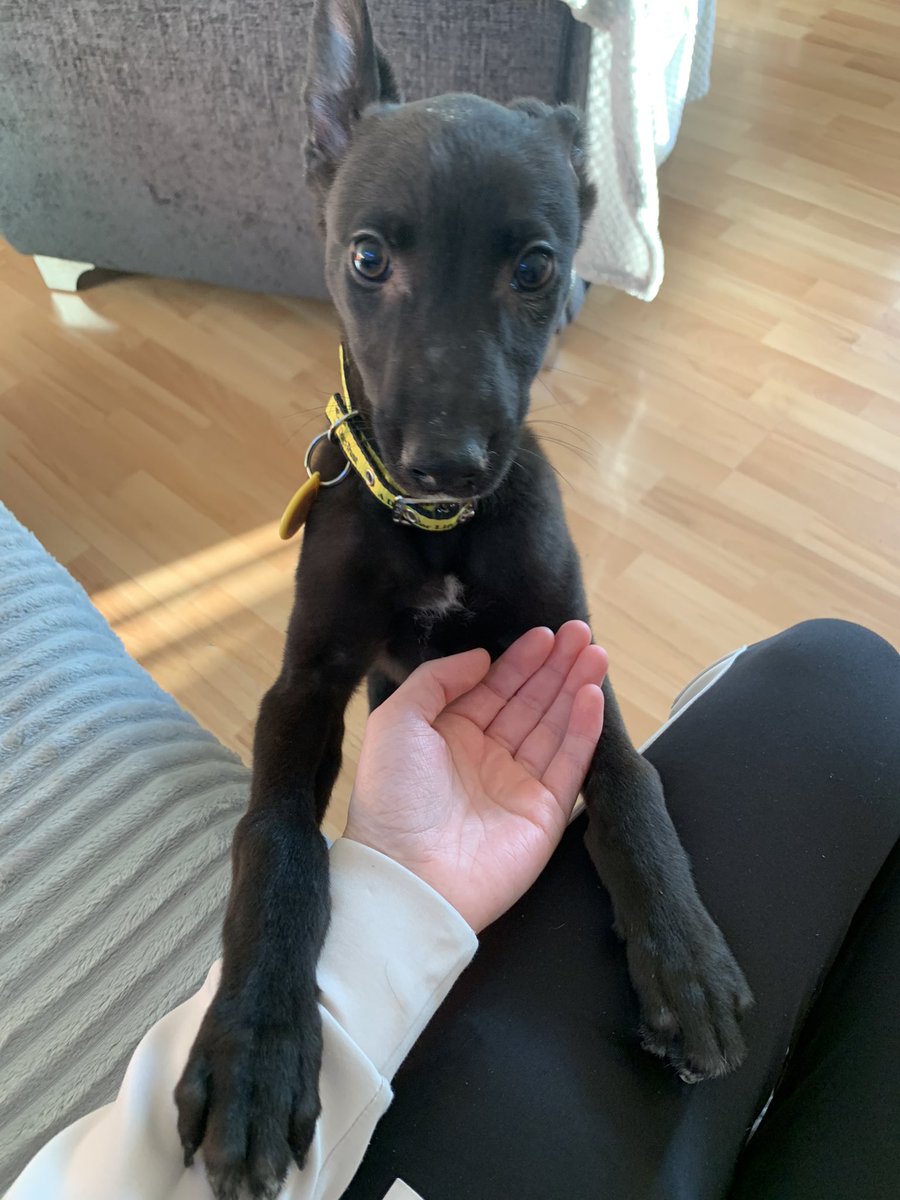 Scott Russell tweet media