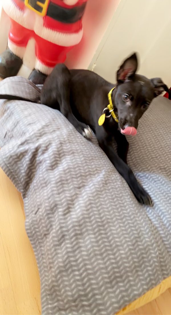 Scott Russell tweet media