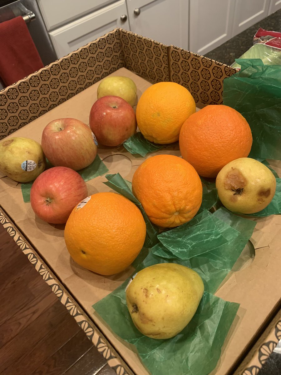 PSA Warning:  if you are thinking of buying from <a href="/GiftTree/">GiftTree</a> do NOT!  All 3 members of our family had their fruit arrive like this:  Bruised, disarrayed with no ‘gift’ presentation, and with the grocery code labels still stuck on.   Literally this is the pic just as we opened it 😳