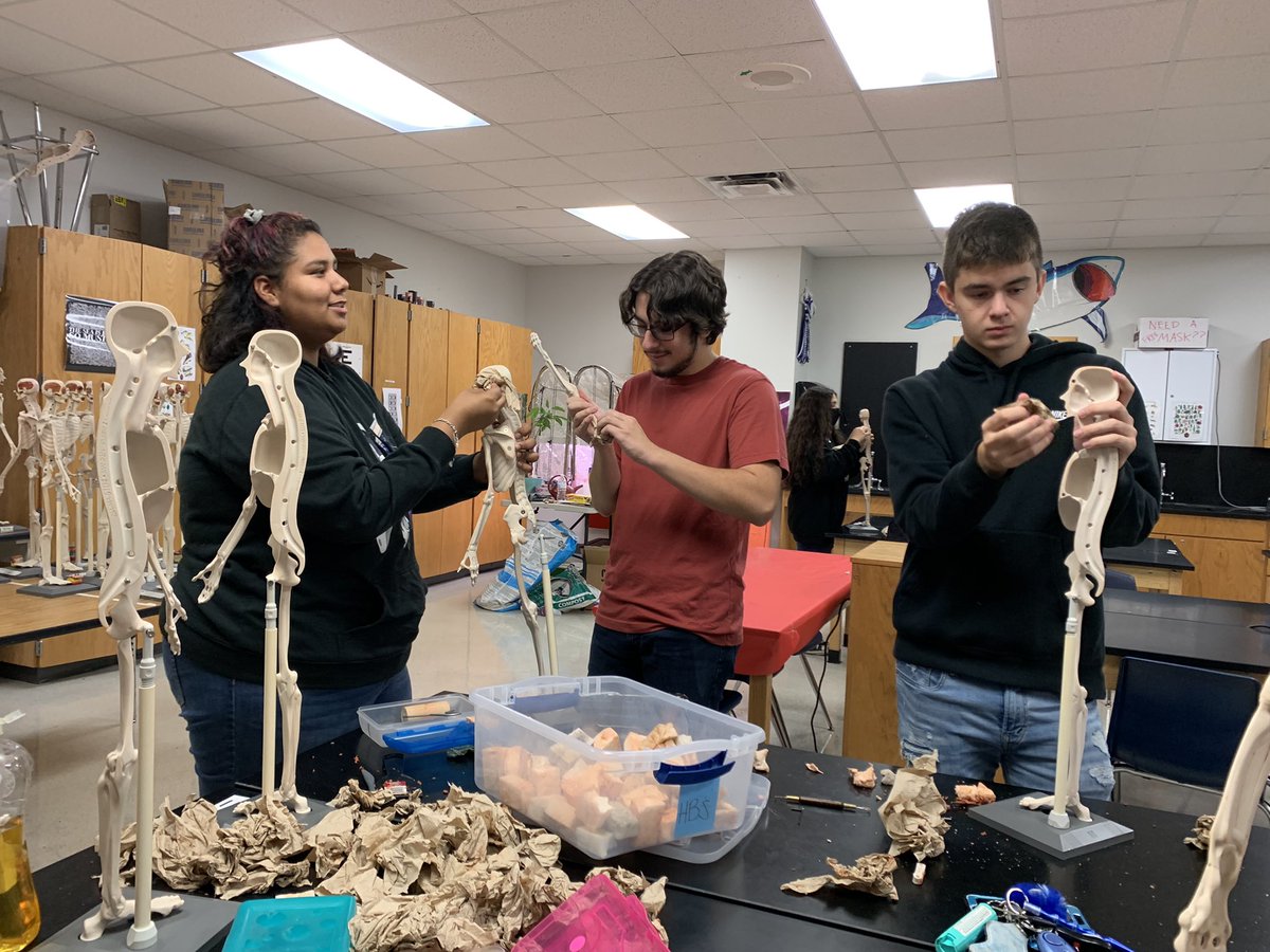 Lehman NHS tweet media