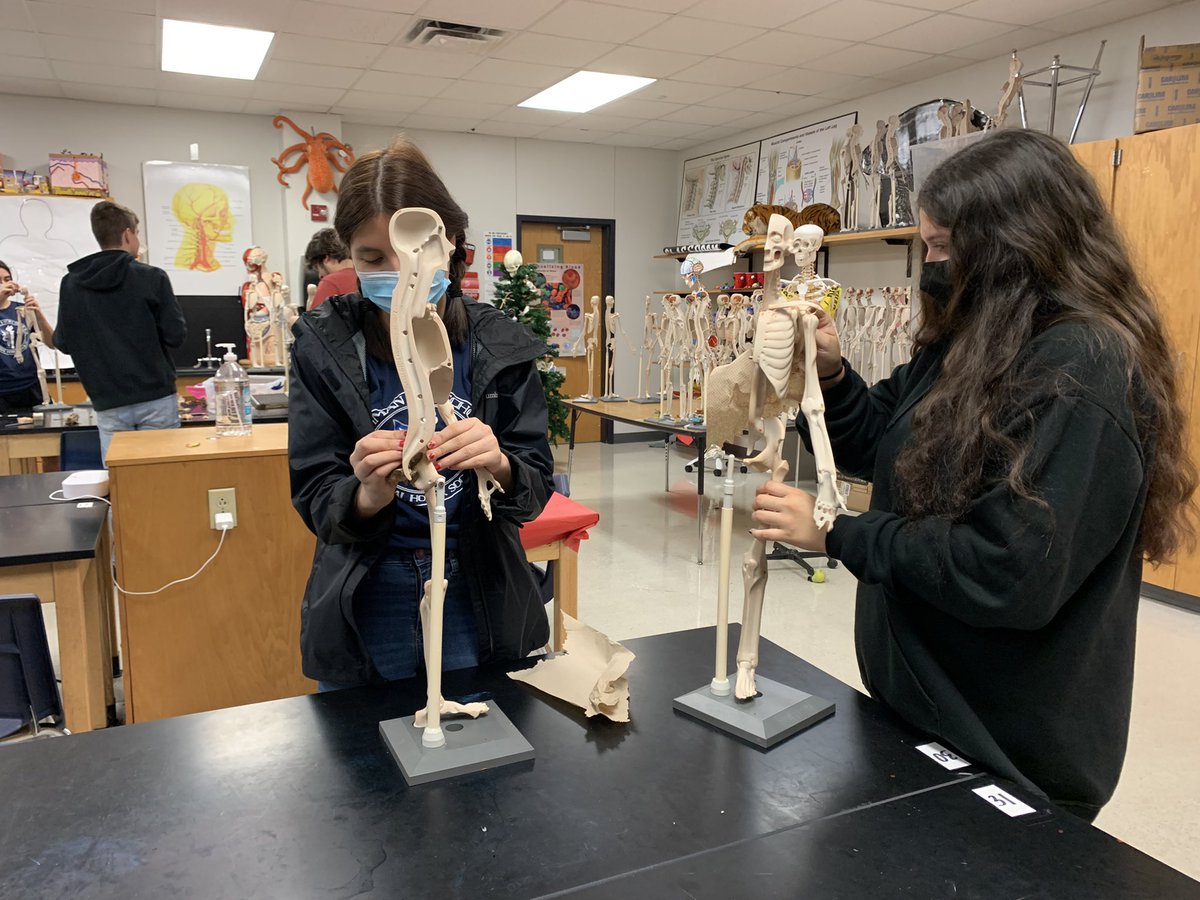 Lehman NHS tweet media