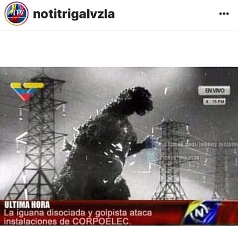 Winelber tweet media