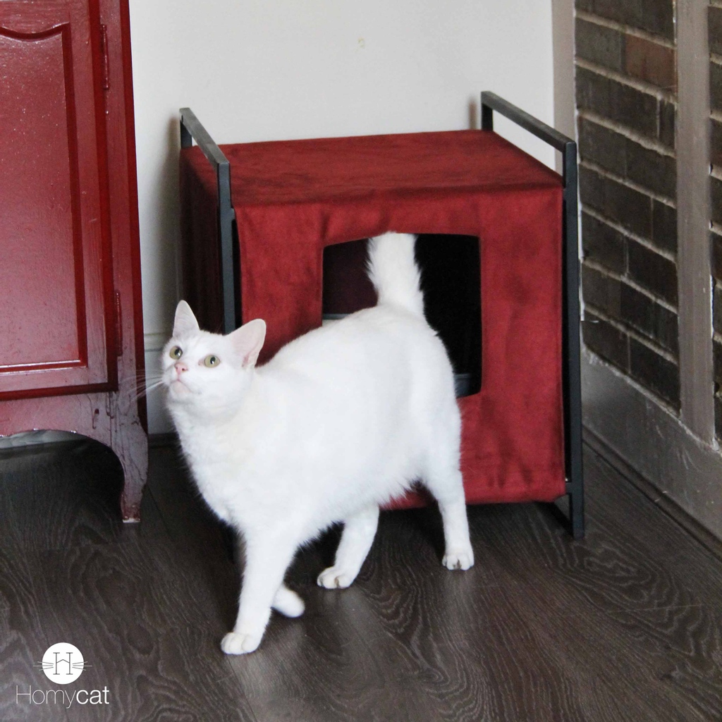 Homycat's tweet photo. La maison de toilette est en précommande sur le site internet jusqu'au 05/01 😻 sur https://t.co/qYYTxK07hS
📷 Maison de toilette griotte / https://t.co/Sy00I5HyY1
#maisondetoilette #bacàlitière #cachelitière #nouveauté #madeinfrance #modulable #homycat https://t.co/UtQRlGcuJv