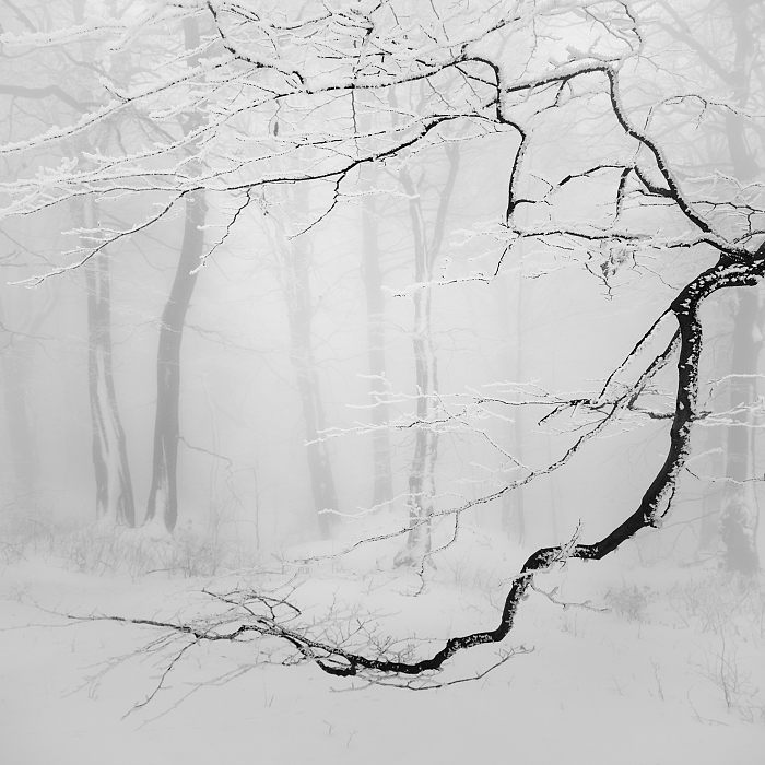 IoriTosa2's tweet photo. 📷 © Daniel Řeřicha

Czech Republic

In the winter forest | Ore mountains, Czech republic | 

#naturephography #bnwphotography #WinterForest #CzechRepublic #winter #forest #frozentrees #WinterizeTrees #white 
. https://t.co/D7no89epWr