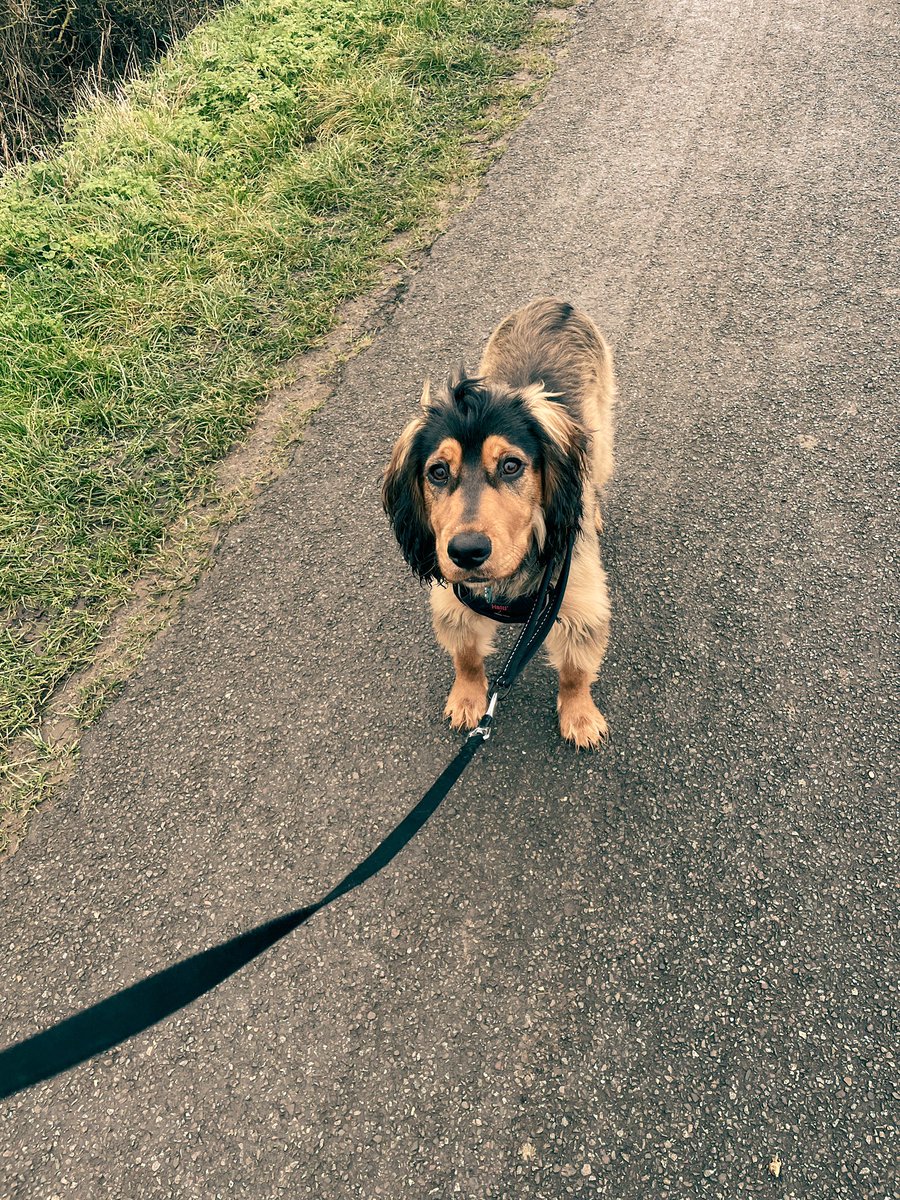 Oh hey there beautiful boy 😍