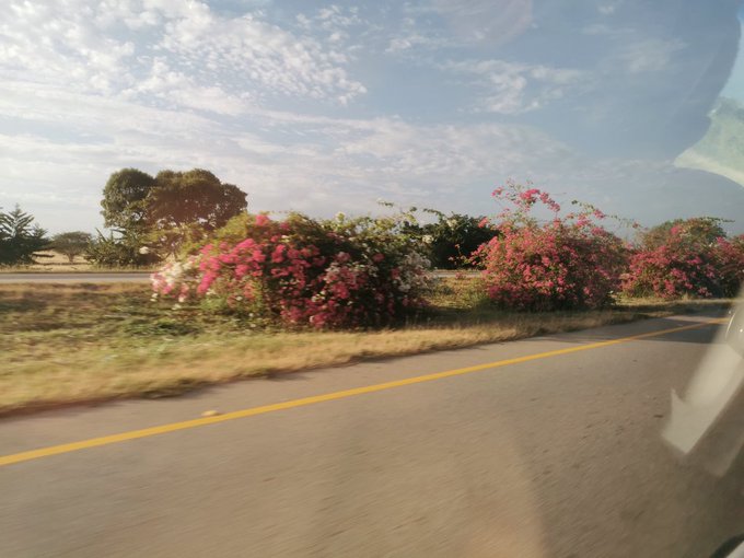 💙✈️📸 https://t.co/TG1kmok6cs<a href="/tag/friend"class="tags"><span>#friend</span></a><a href="/tag/prom2014"class="tags"><span>#prom2014</span></a>