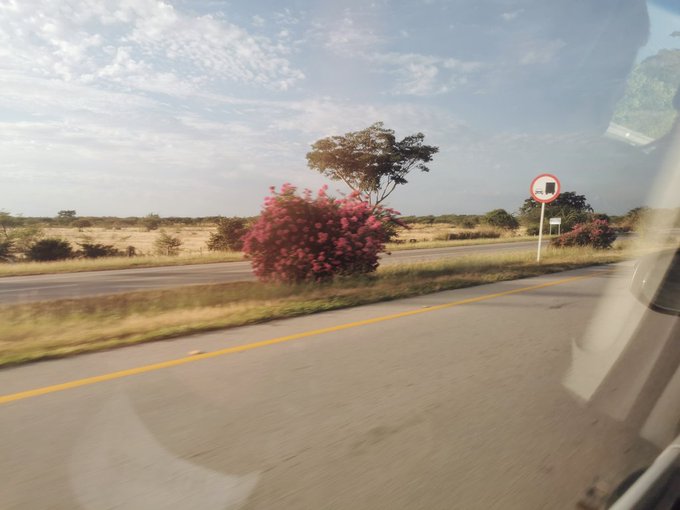 💙✈️📸 https://t.co/TG1kmok6cs<a href="/tag/friend"class="tags"><span>#friend</span></a><a href="/tag/prom2014"class="tags"><span>#prom2014</span></a>