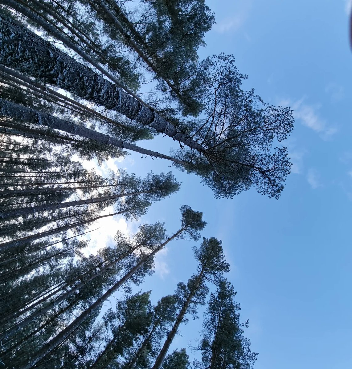 Highland Boundary tweet media