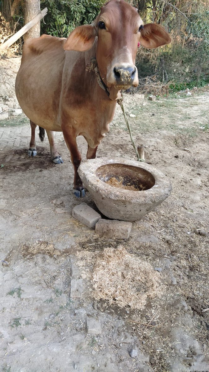 coolsandy93's tweet photo. @jaunpurpolice @DMjaunpur @adgzonevaranasi @myogiadityanath @Uppolice
Respected Sir Mai thana singramau vill Pahitiyapur se Sir yaha pr log road pe kabja krke rakhe ar police aati h to hta kr phir rakh dete hai pics bej rha hu apko https://t.co/8WiMq5GfIP