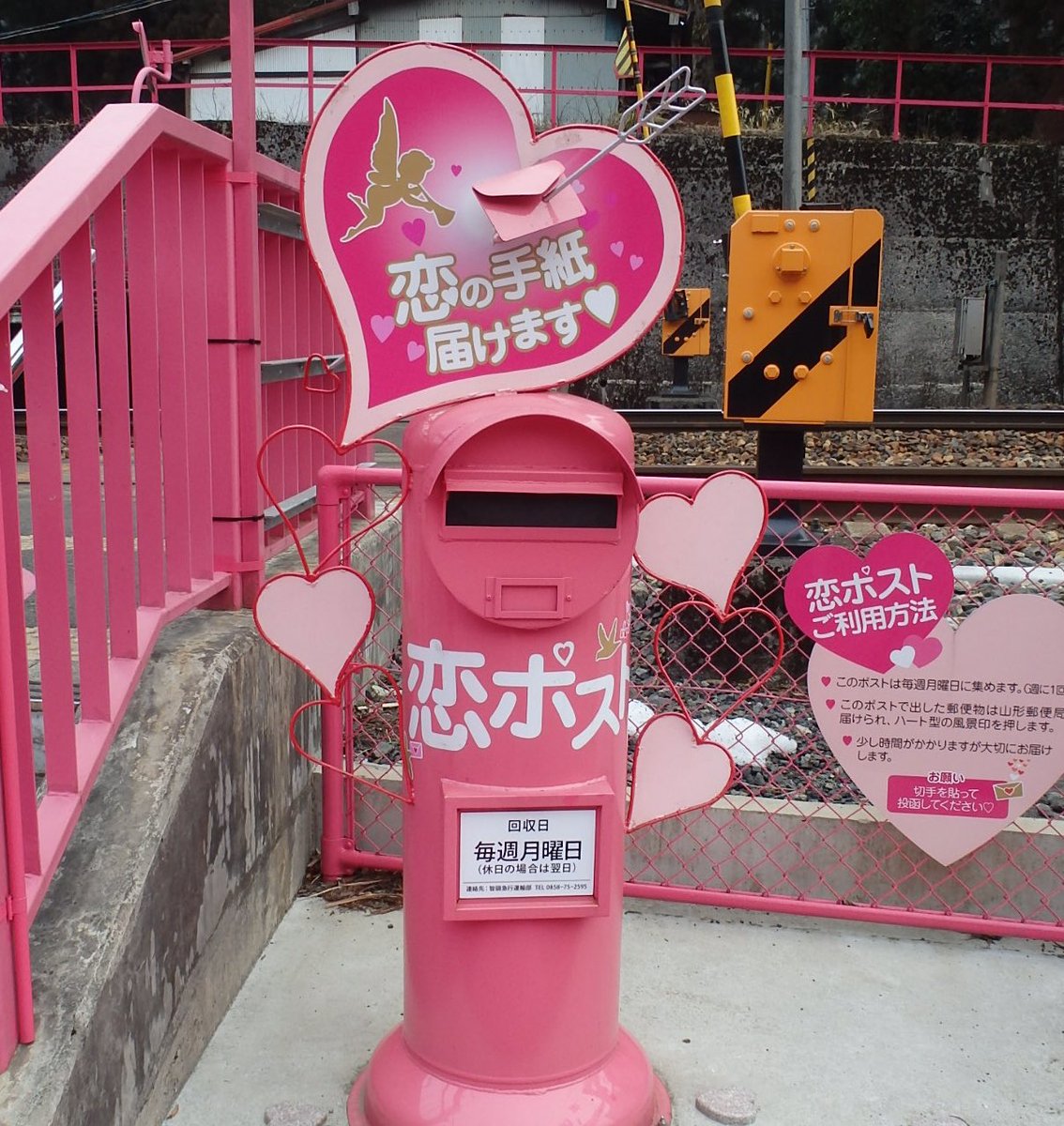 ꩜ tweet media