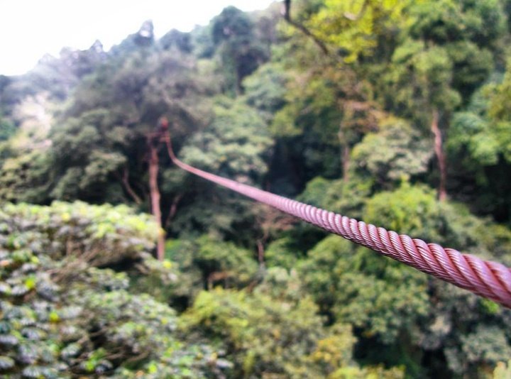 fleedsafaris's tweet photo. Enkya Tusimbula 🇺🇬🌍🌲
Tree climbing ✓
Ziplining ✓
Griffin falls✓
Good vibes ✓
#fleedexperience ✓ https://t.co/15hsOAycX2