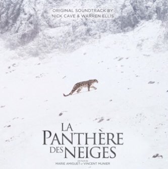 BoneyCP's tweet photo. Enya on a Canadian comedown in the snow. I love it. https://t.co/Ehw0gVNLs3