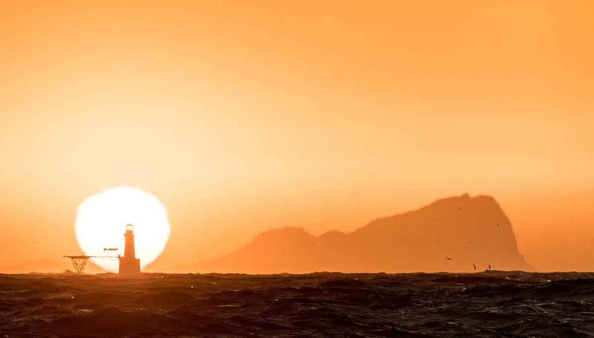 Roman Rock lighthouse at first light this morning. #capetown #simonstown <a href="/visitsimonstown/">SimonsTown.com</a>