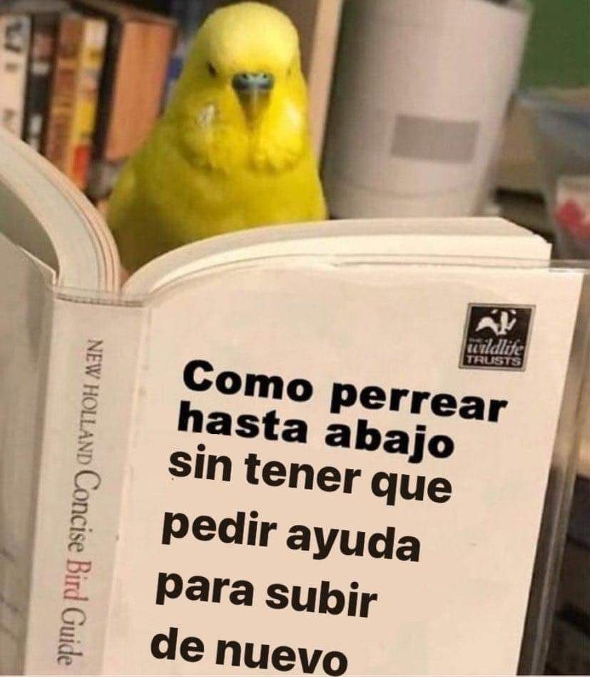 Los del 98 preparándose para la fiesta del Jazz #PORRAJAZZ