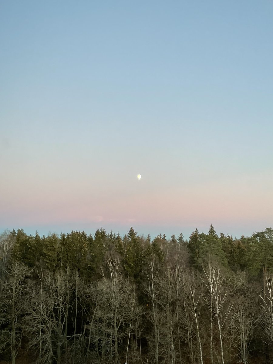 hannah_ingeborg's tweet photo. "my friend the moon rises: 
she is beautiful tonight, but when is she not beautiful?"
- Louise Glück https://t.co/3r2R0izhPX