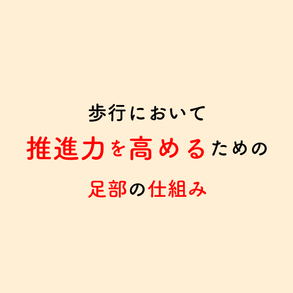 riha_note's tweet photo. 歩行における足部のメカニズムを理解できていますか？

歩容を改善するために、後脛骨筋や長趾屈筋にも着目すべき理由の1つです。 https://t.co/XUYPzZagqe