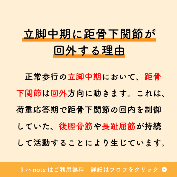 riha_note's tweet photo. 歩行における足部のメカニズムを理解できていますか？

歩容を改善するために、後脛骨筋や長趾屈筋にも着目すべき理由の1つです。 https://t.co/XUYPzZagqe