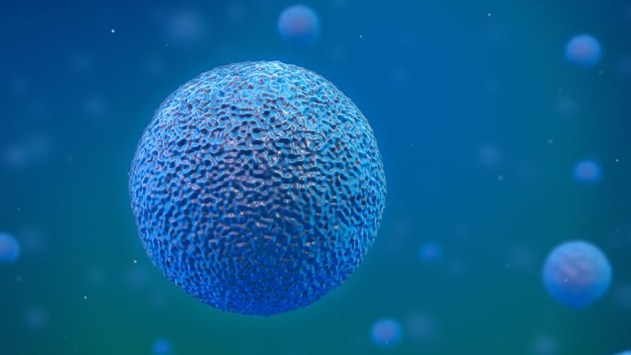 Kenneth Verboven (@kennethverboven) on Twitter photo To those exercise physiologists working on #extracellularvesicles👇🏽
 📨Abstract deadline - January 10th 2022
<a href="/FrontPhysiol/">Frontiers - Physiology</a> - Inter-organ crosstalk during #exercise in health and disease: extracellularvesicles as new kids on the block 🚴🏽♀️🏃🏽
frontiersin.org/research-topic… 
<a href="/IVechetti/">Ivan Vechetti</a> To those exercise physiologists working on #extracellularvesicles👇🏽
 📨Abstract deadline - January 10th 2022
<a href="/FrontPhysiol/">Frontiers - Physiology</a> - Inter-organ crosstalk during #exercise in health and disease: extracellularvesicles as new kids on the block 🚴🏽♀️🏃🏽
frontiersin.org/research-topic… 
<a href="/IVechetti/">Ivan Vechetti</a>