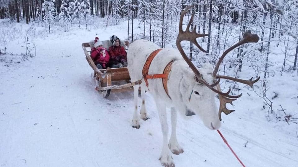 Adamstravel11's tweet photo. 🎅🏼❄️Lapland 2022 Day Trips Available Now❄️🎅🏼
Gatwick
17th December 2022
£619 per Adult 
£549 per Child
#lapland #santa #christmas #daytrip #holiday #travel #travelagent #aylesbury #bucks #independenttravelagent #smallbusiness #localbusiness https://t.co/pZiR8nBXCn