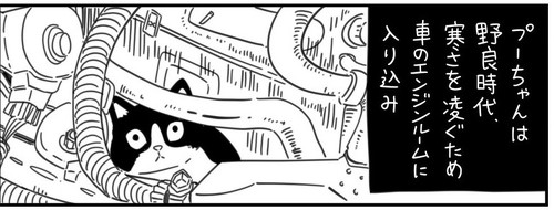 【漫画】祖父にだけ心を許す元ノラ猫、病気の祖父と不思議なシンクロを見せ-- ふたりの絆の結末に涙する https://t.co/8bnPEpogEH @itm_nlabより