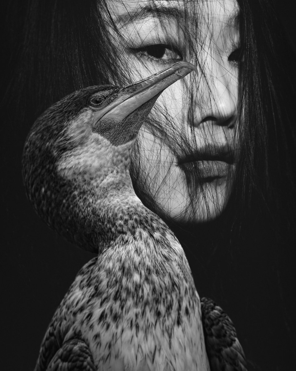 rare bird
Editions:9/10 - 10 xtez 
hicetnunc.art/objkt/592109

#hicetnunc #hicetnunc2000 #Collectibles #nft #NFTs #NFTCommmunity #nftcollector #nftart #digitalart #crypto #rayosky