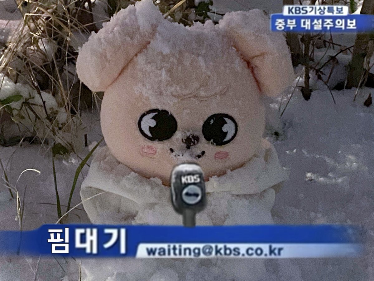 핏 tweet media