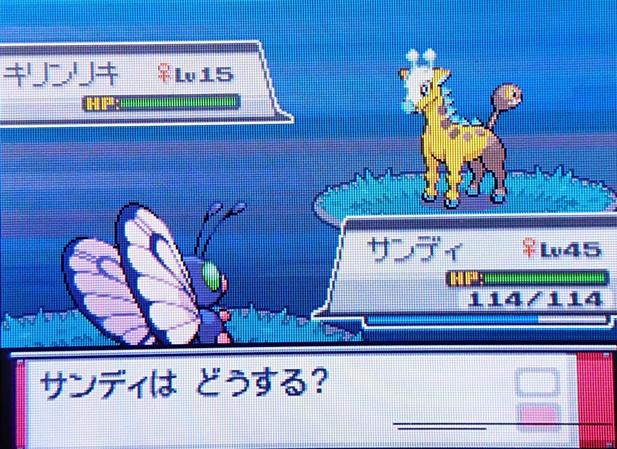 きりん ポケットモンスター ハートゴールド 色キリンリキget 自然遭遇 3545回目 色違いポケモン Shinypokemon Hgss T Co B8dvaugttx Twitter