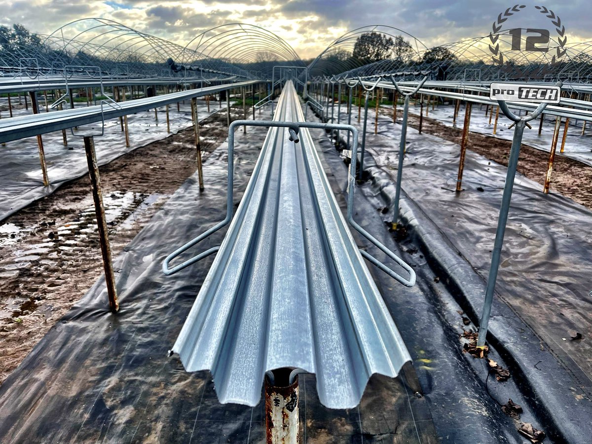ProTechFuture's tweet image. Gutter rolling in Hampshire, UK.
Upgrading old tabletop systems for new ones to recycle the irrigation run-off.

protech.team

#Protech #growingsystems #waterrecycling #strawberryfarm