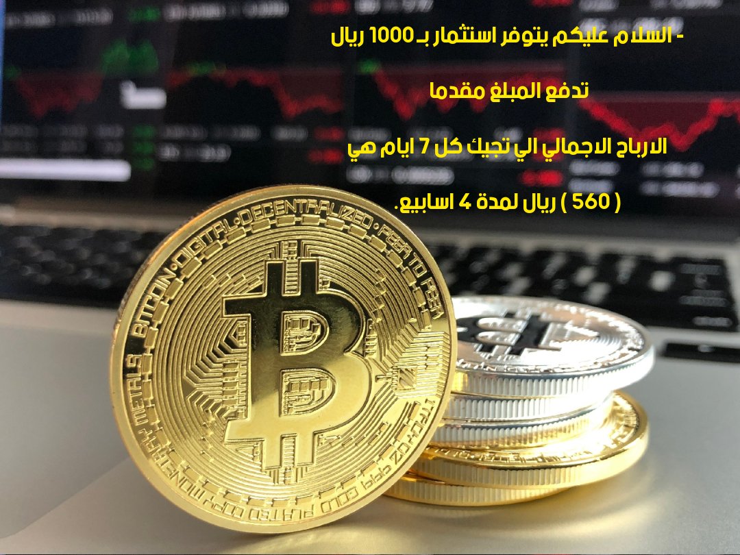 مستثمر بتكوين 📊 tweet media