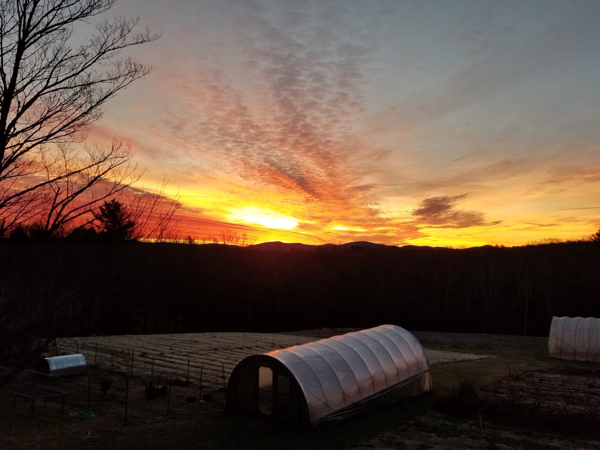 soulfirefarm's tweet photo. “Every great dream begins with a dreamer. Always remember, you have within you the strength, the patience, and the passion to reach for the stars to change the world.” – Harriet Tubman

@leahpenniman caught a beautiful winter sunrise. https://t.co/nYv6OIdENh