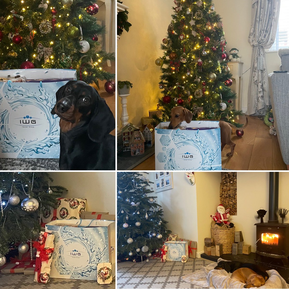 Elms__Farm's tweet image. Thank you to @iwatergroup for our Xmas hamper! Merry Christmas to you all from all of us at Elms Farm!!