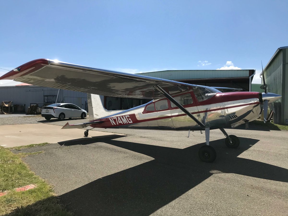 PilotsNPaws's tweet photo. Bear, a Border Collie mix, was surrendered at a Sonoma shelter by a previous owner. Thankfully, a local rescue, Herd It Through the Grapevine, organized a PNP flight for Bear to be flown to his new forever home in Ventura, CA! Thanks to Pilot Mike, Bear is loving his new life! https://t.co/hjMpwaTnlg
