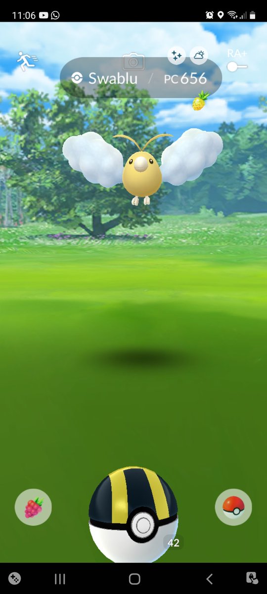 seba_kenshin's tweet image. Apenas empieza el evento y ya tengo mi primer shyny @lexosi_ #comunitydaypokemongo