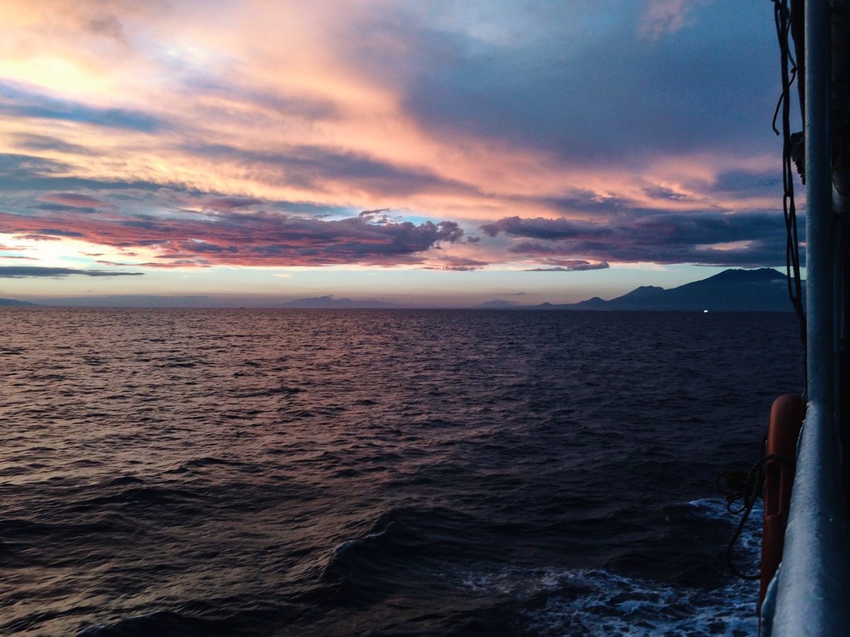 PORT8ART's tweet image. You walked into my #life like you had always lived there, like my heart was a #home built just for you.

a.r.asher

#ocean #nature #travel