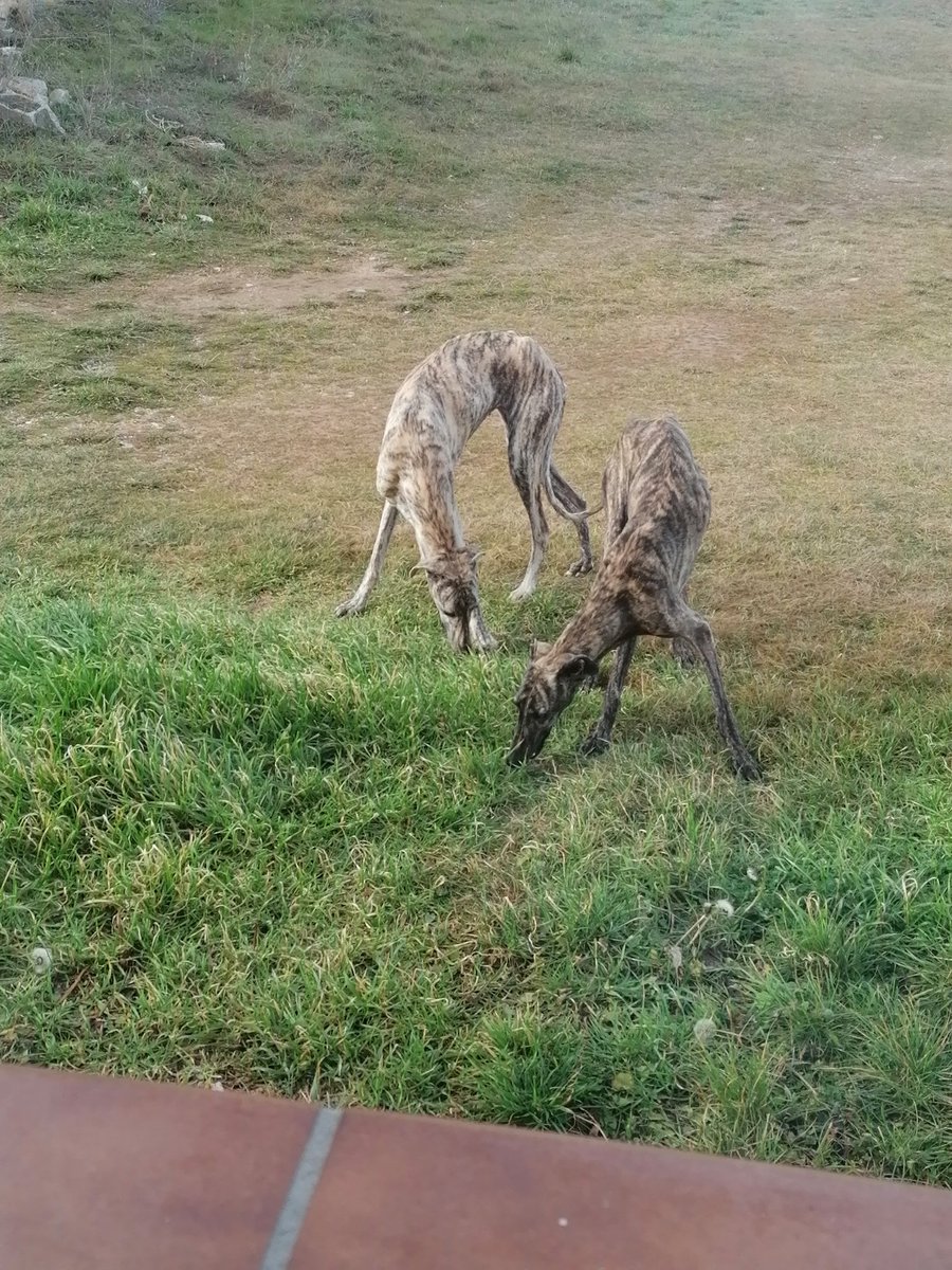 malbif's tweet image. Se encuentran en argente Teruel