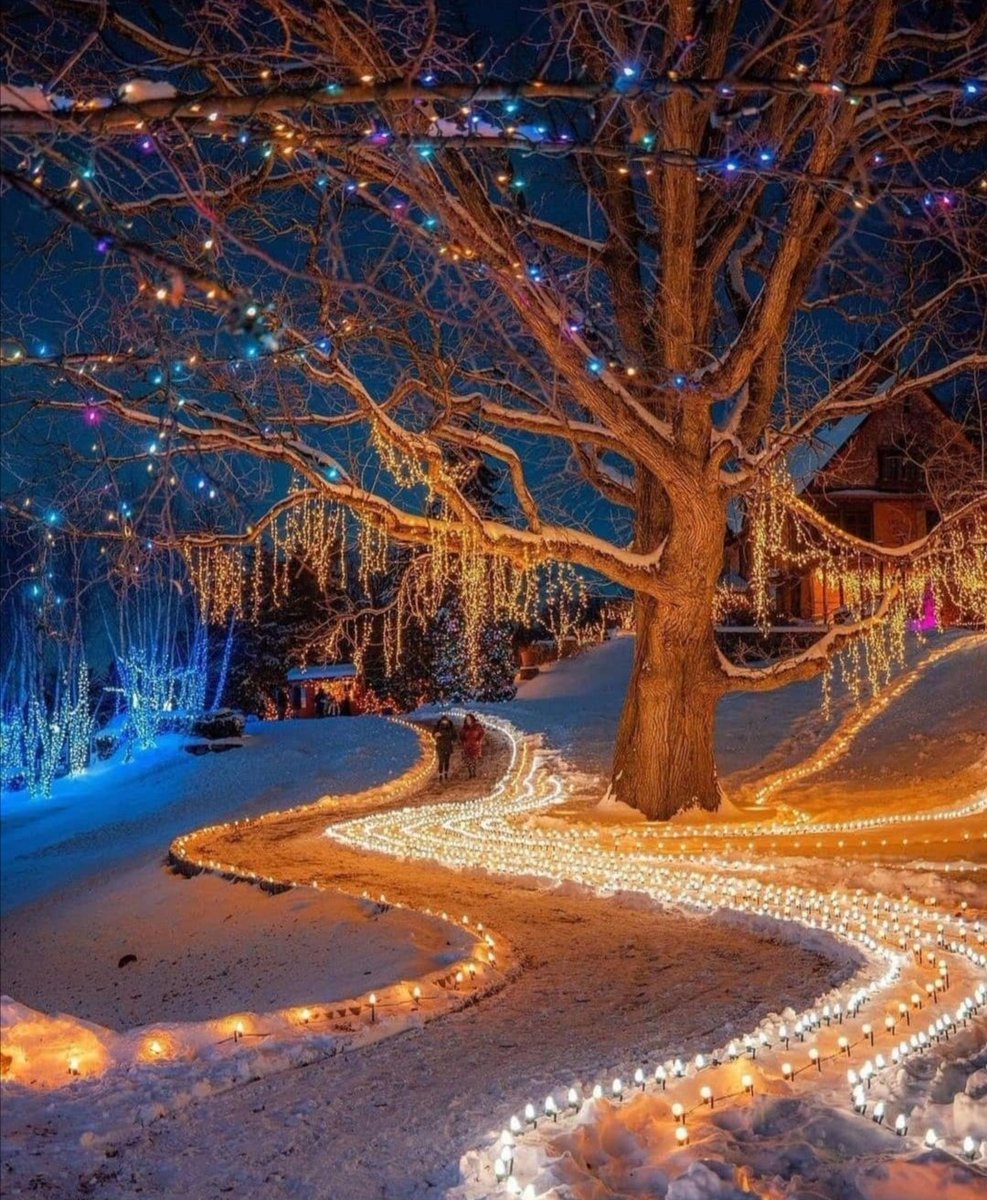 Mirko Vasić tweet media