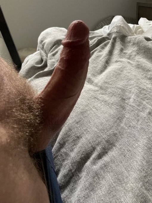 Always up early, even on the weekend… ☀️🍆 https://t.co/oaycwc6sY9