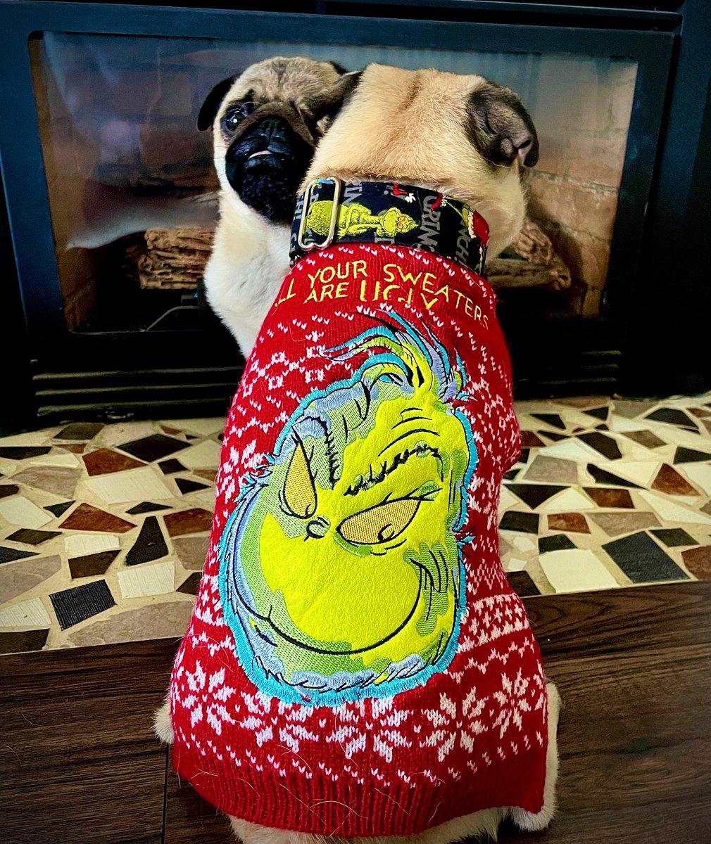 If you’re wearing Igor’s #TheGrinch collar you HAVE to wear thd matching sweater. 

#pug #UglySweaterDay #UglyChristmasSweater #hohoho #puglife #christmas