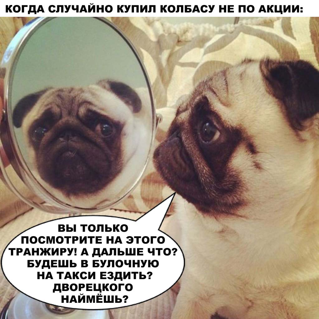 Пошла в магазин за хлебом. 🥖🍰🍗🍦🍔 А там акция:
«Купи бутылку «Мартини» и получи пакет сока в подарок!» И тут... мне так сока захотелось... 🍹

#продукты #магазины #супермаркеты #покупки #скидки #акция #юмор #животные #милота #смешныеживотные #собаки #собака #dog