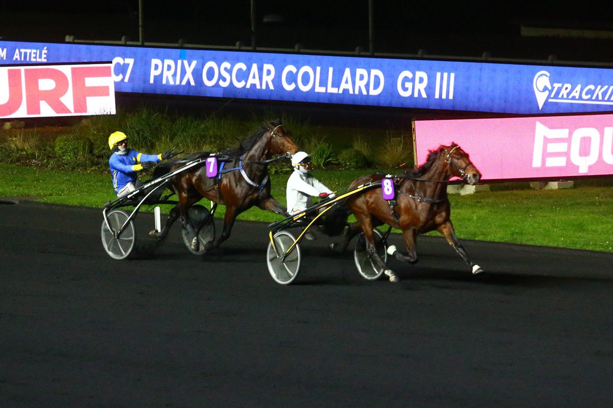 Filippo_Rocca_'s tweet photo. Another FILIPP ROC 🥇 in Paris 🇫🇷
Always Ek 1.10.7 🥇Prix Oscar Collard, his fourth victory in Paris.
After the two beautiful successes of Balsamine Font led #FilippRoc to be one of the most successful Italian stallions in 🇫🇷 #Alwaysek #BalsamineFont #Tesauro #TinoRoc #RoyalRoc https://t.co/WxsBe0c7af